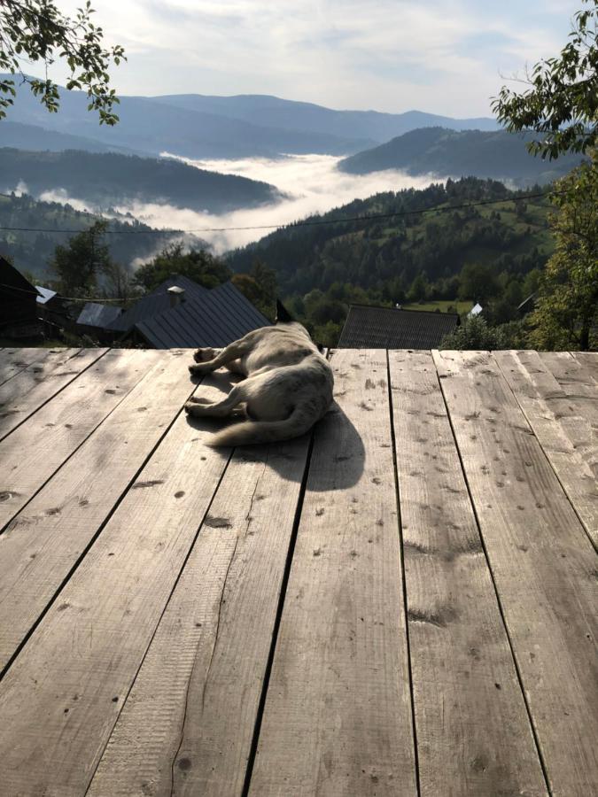 La Noi La Munte Villa Matisesti Eksteriør billede