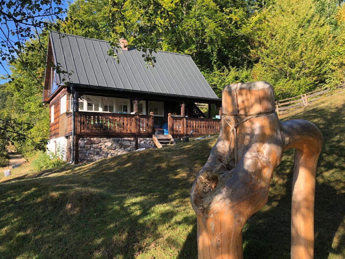 La Noi La Munte Villa Matisesti Eksteriør billede