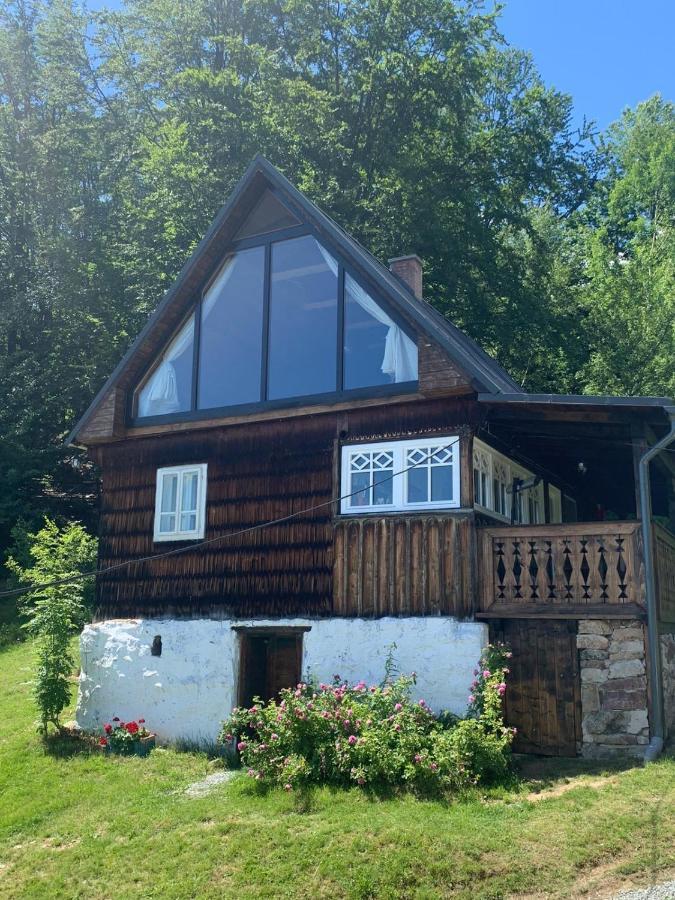 La Noi La Munte Villa Matisesti Eksteriør billede